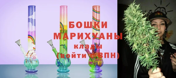 ГАЛЛЮЦИНОГЕННЫЕ ГРИБЫ Пестово