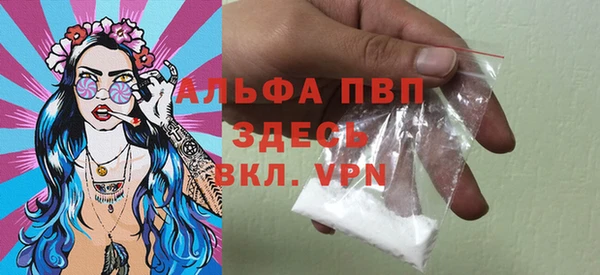 ПСИЛОЦИБИНОВЫЕ ГРИБЫ Гатчина