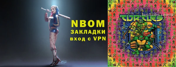 индика Алзамай