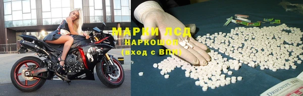 индика Алзамай