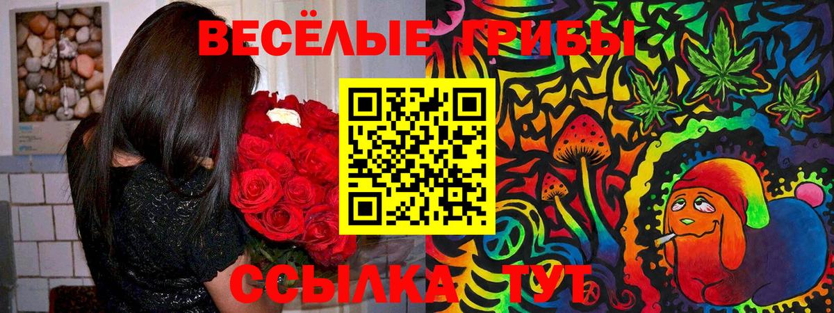 Псилоцибиновые грибы мицелий Невинномысск
